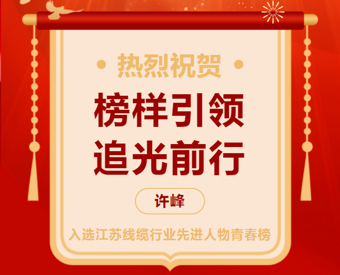 模范引领 追光前行｜许峰入选江苏线缆行业先进人物青春榜